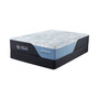 Arctic 13.5" Hybrid Medium Mattress Set- California King