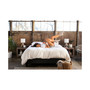 Ion 12" Premier Cushion Firm Mattress-  Full