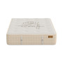 Natural Orchid Plush 14.5" HyBrid Mattress Set, Twin