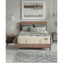 Natural Orchid Plush 14.5" HyBrid Mattress Set, Twin