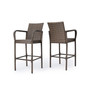 Delfina Outdoor Barstool, Set of 2