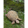 Turtle Garden Statue