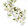 24" Cherry Blossom Wreath