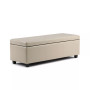 Easton Faux Leather Rectangular Storage Ottoman