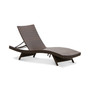 Dustan Wicker Outdoor Chaise Lounge