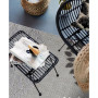 Dodds 5565 Area Rug