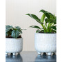 Vintage-like Footed Ceramic Planter, Set of 2