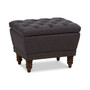 Jaleen Storage Ottoman
