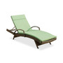 Tempe Outdoor Chaise Lounge