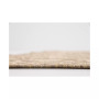 Pashio Pas6B Area Rug