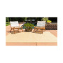 Pashio Pas6B Area Rug