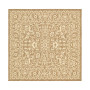 Pashio Pas6B Area Rug