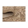 Pashio Pas6B Area Rug