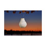 Home & Garden Soji Stella Bulb Wave Punch Solar Lantern