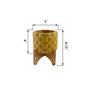 GL Ceramic Dimple Planter on Wood Stand, 5"