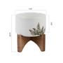 Etched Leaf Ceramic Planter on Stand, 5.35"