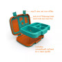 Kids Brights 5-Compartment Bento Lunch Box
