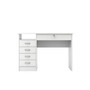 Function 5-Drawer Desk