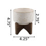 Constellation Ceramic Planter Pot on Wood Stand, 4.25"