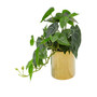 Modern Pothos Artificial Plant, 11.5"