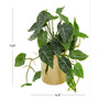 Modern Pothos Artificial Plant, 11.5"
