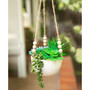 Caveman Ceramic Hanging Planter, 5.38"