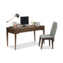 Canden Desk