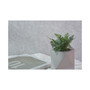 Noah Concrete Planter Pot