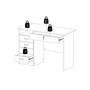 Walden Desk with 5 Drawers