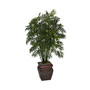 Mini Bamboo Palm w/ Decorative Vase