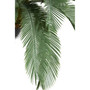 62.2" Palm Tree Artificial Faux decor in Resin Planter
