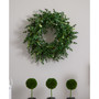 18" Eucalyptus Double Ring Wreath w/ Twig Base