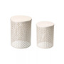 Multi-Functional Metal Garden Stool or Plant Stand or Accent Table, Set of 2