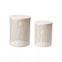 Multi-Functional Metal Garden Stool or Plant Stand or Accent Table, Set of 2