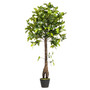 50" Artificial Potted Camellia Tree