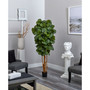 6' Fiddle Leaf Fig Tree