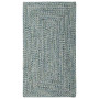 Sea Glass Rectangular Braid Indoor/Outdoor Area Rug