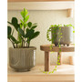 Rainbow Footed Planter, Set of 2
