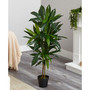 43" Dracaena Real Touch Plant