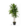 43" Dracaena Real Touch Plant