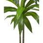 43" Dracaena Real Touch Plant