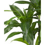 43" Dracaena Real Touch Plant