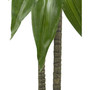 43" Dracaena Real Touch Plant