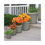 Terra Plastic Pot Planter, Pebble Stone Color, 14 inches