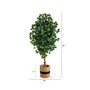 6' Ficus Artificial Tree with Natural Trunk in Planter