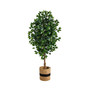 6' Ficus Artificial Tree with Natural Trunk in Planter