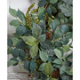 23” Mix Royal Ruscus, Fittonia and Berries Artificial Wreath