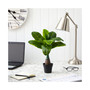 Mini Banana Artificial Plant