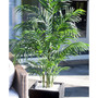 4.5' Areca Palm UV-Resistant Indoor/Outdoor Artificial Tree in Black-Washed Planter