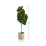 5.5' Fiddle Leaf Fig Artificial Tree in Planter